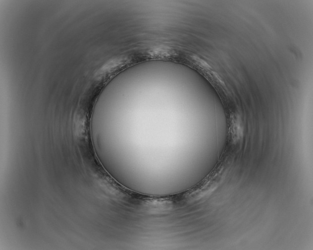 X0000112460619200908311331