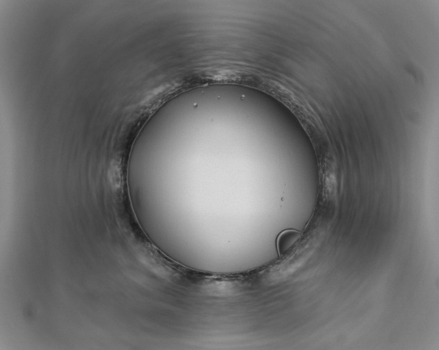 X0000112460620200908311331