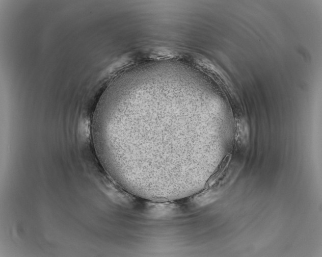 X0000112460621200908311331