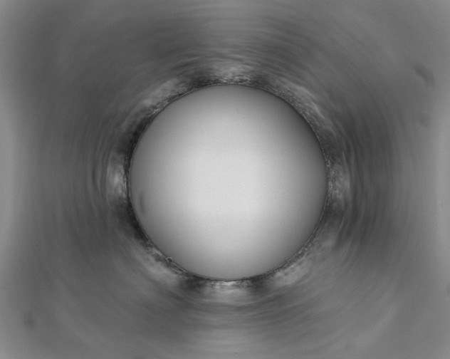 X0000112460622200908311331