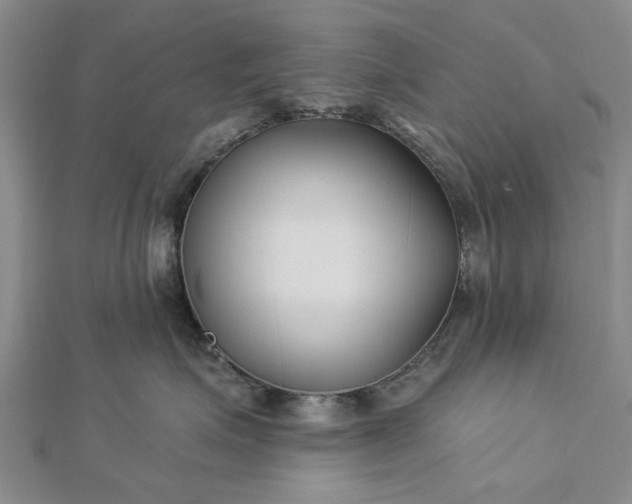 X0000112460623200908311330