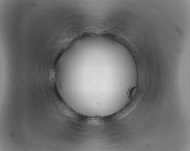 X0000112460624200908311330