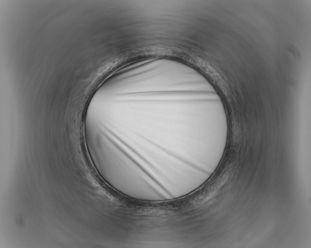 X0000112460625200908311330