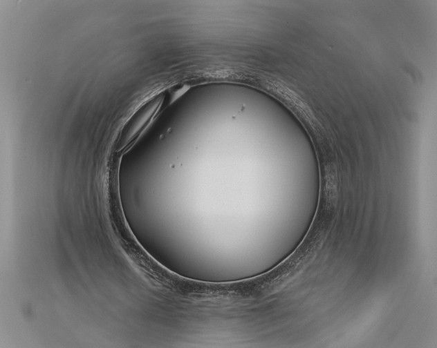 X0000112460626200908311330