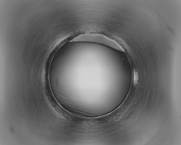 X0000112460627200908311330