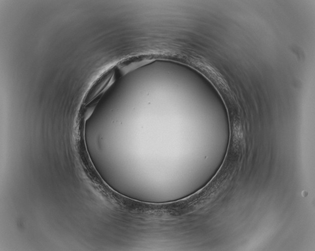 X0000112460628200908311330