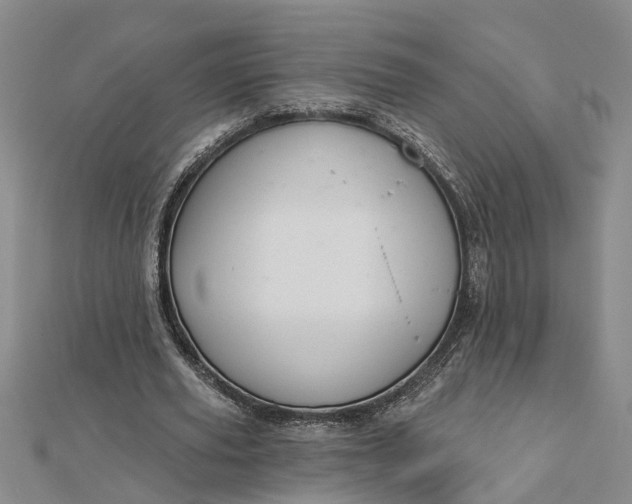 X0000112460629200908311330