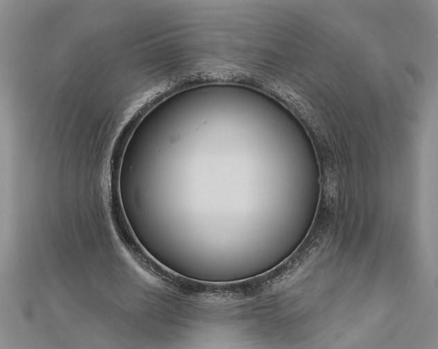 X0000112460630200908311330