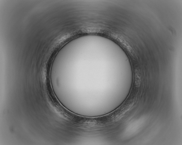 X0000112460631200908311330