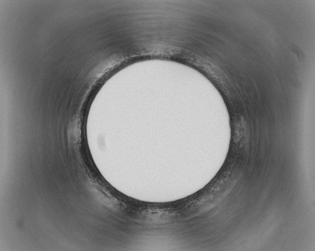 X0000112460632200908311330