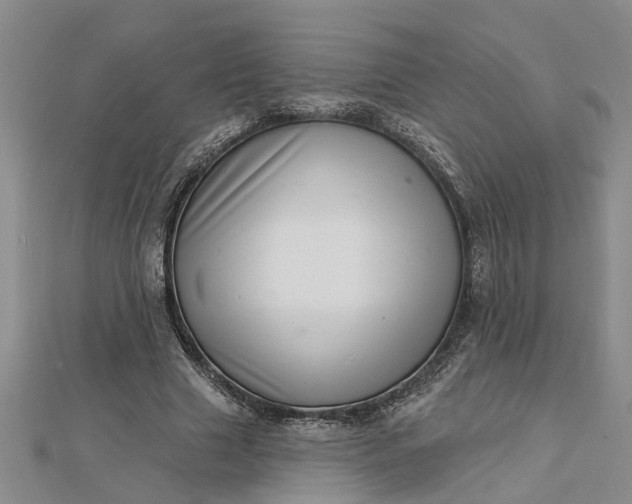 X0000112460633200908311330