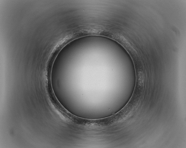 X0000112460634200908311330