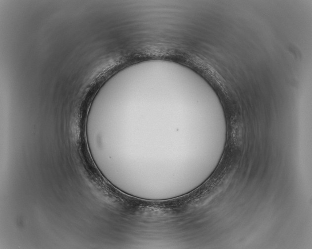 X0000112460635200908311330