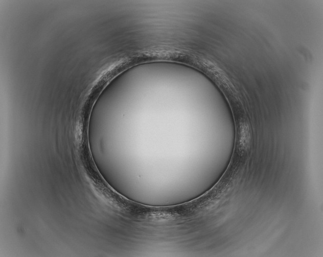 X0000112460636200908311330