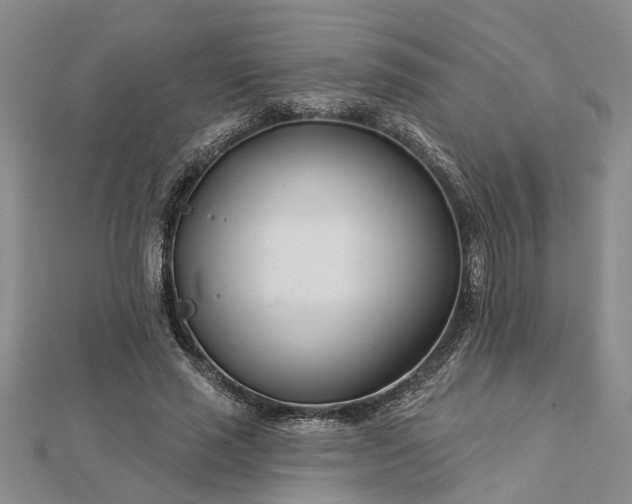 X0000112460637200908311330