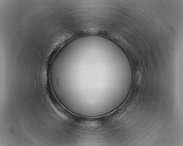 X0000112460638200908311330