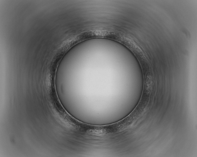 X0000112460639200908311330