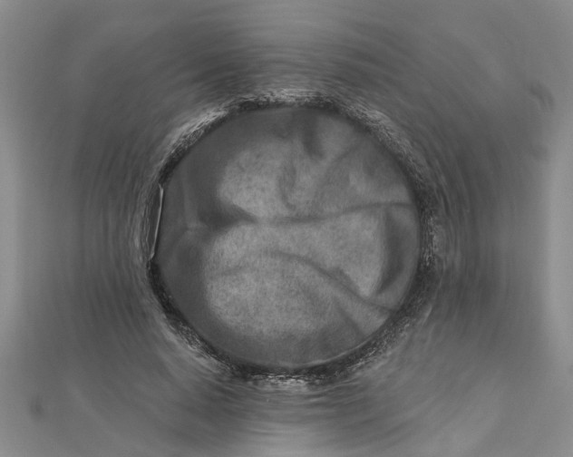 X0000112460640200908311330