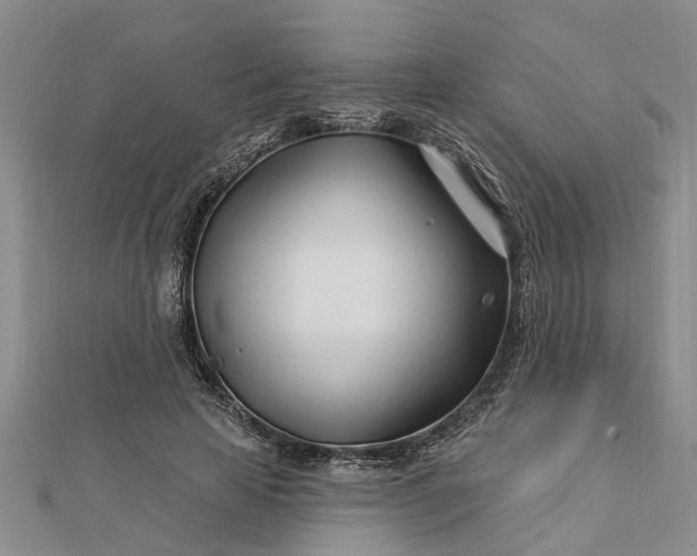 X0000112460641200908311330