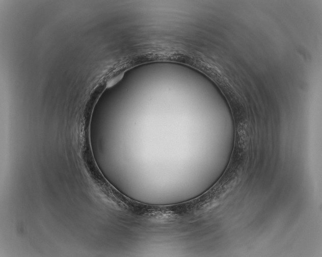 X0000112460642200908311330