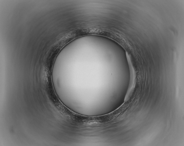 X0000112460643200908311330