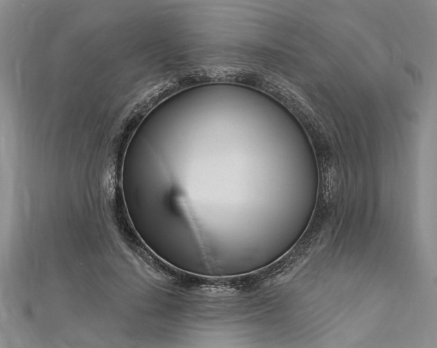 X0000112460644200908311330