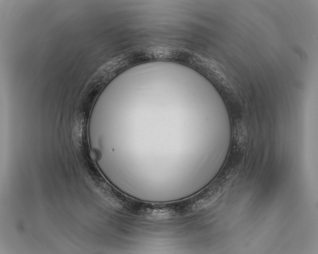 X0000112460645200908311330