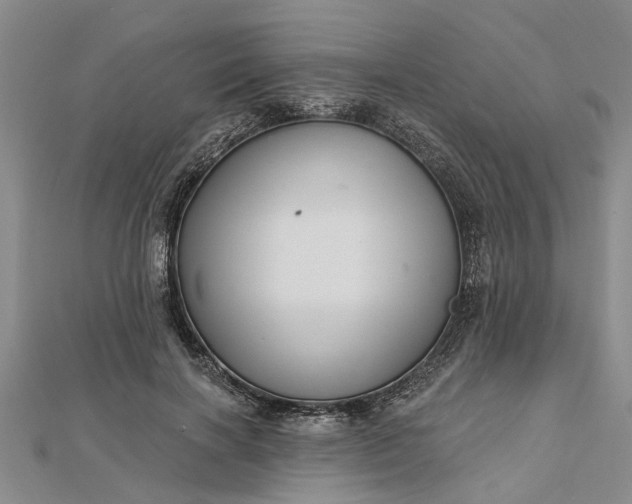 X0000112460646200908311330