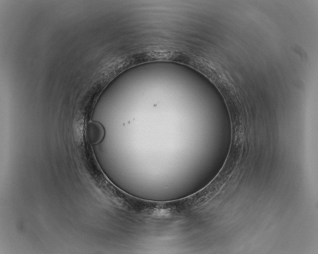 X0000112460647200908311330