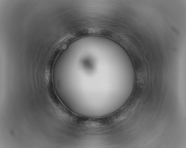 X0000112460648200908311330