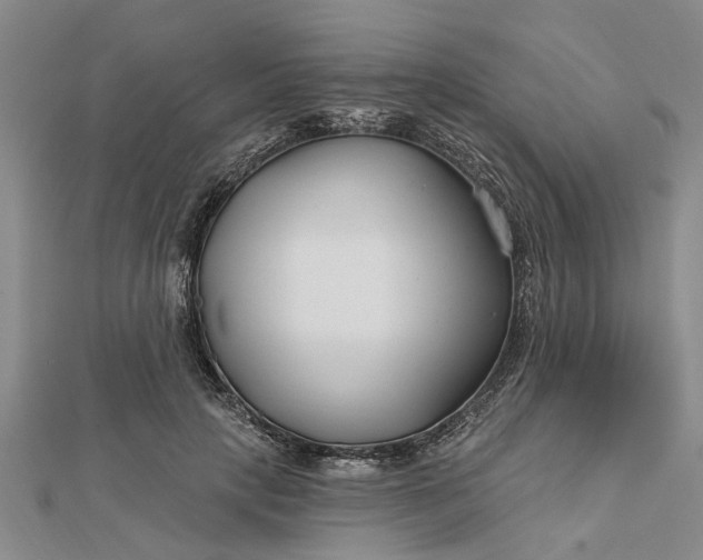 X0000112460649200908311330