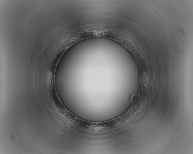 X0000112460650200908311330