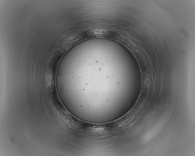 X0000112460651200908311330