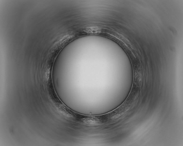 X0000112460652200908311330