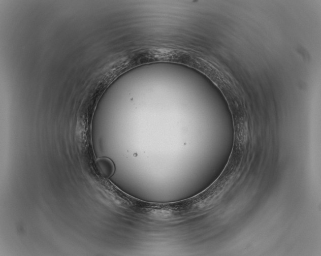 X0000112460653200908311330