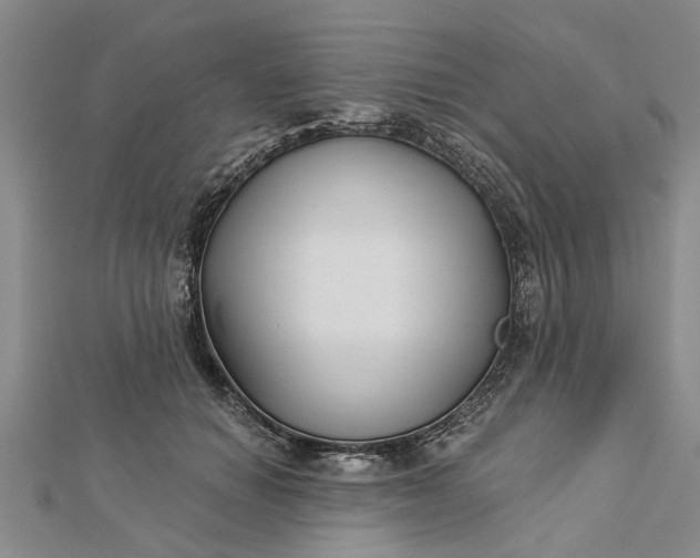 X0000112460654200908311330