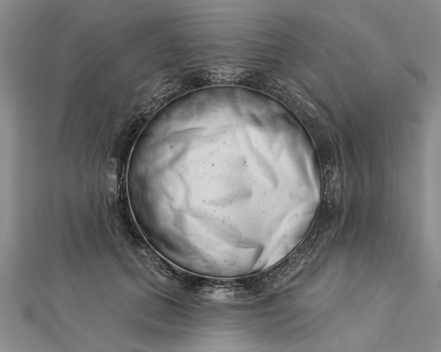 X0000112460655200908311330