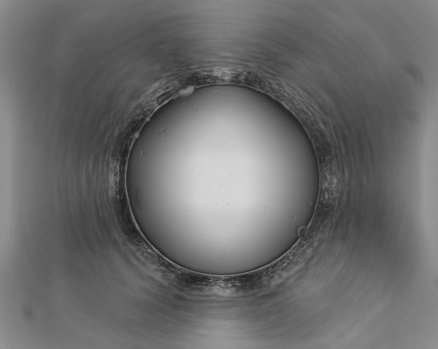 X0000112460656200908311330