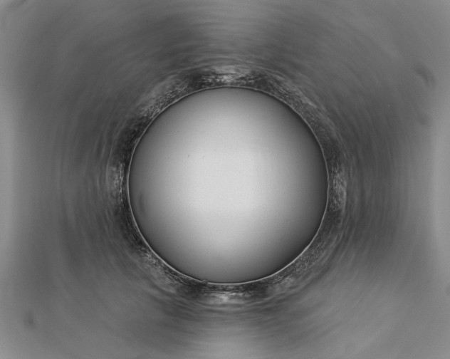 X0000112460657200908311330