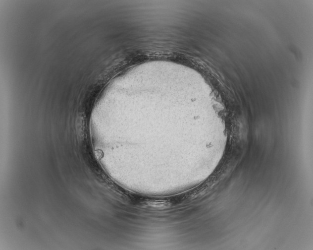 X0000112460659200908311330