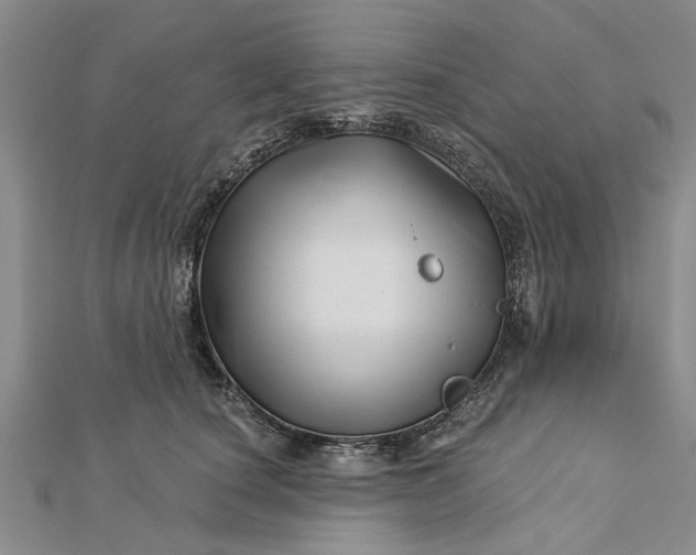 X0000112460660200908311330