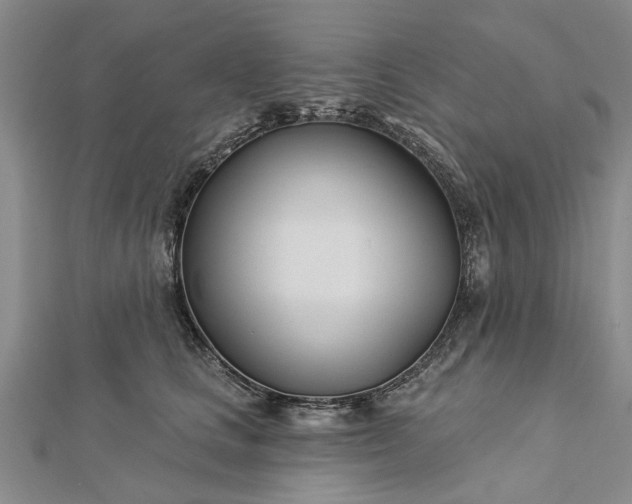 X0000112460661200908311330