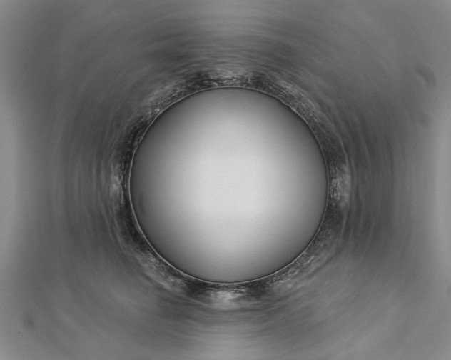 X0000112460662200908311330