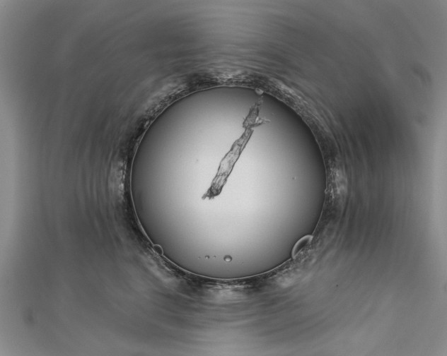 X0000112460664200908311330