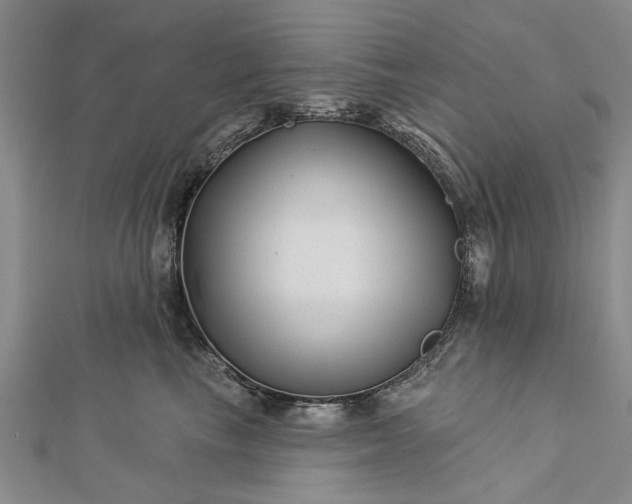 X0000112460665200908311330