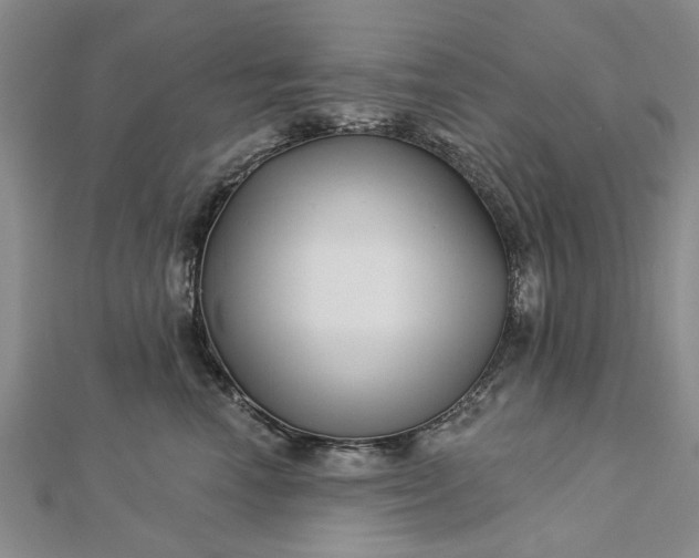 X0000112460666200908311330