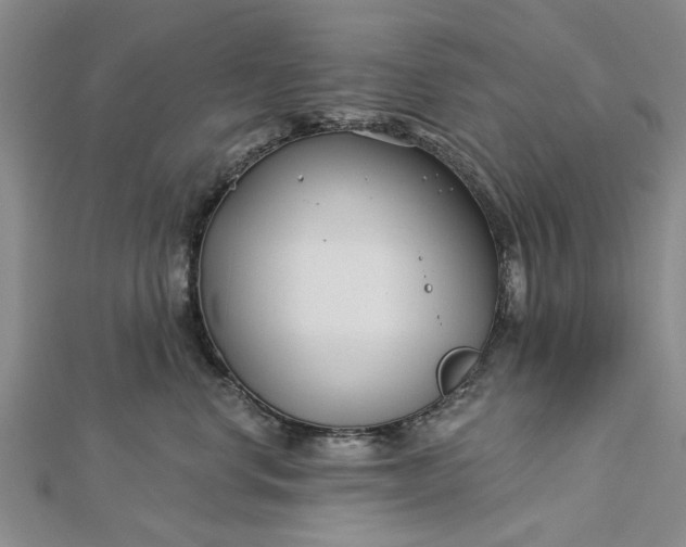 X0000112460668200908311330