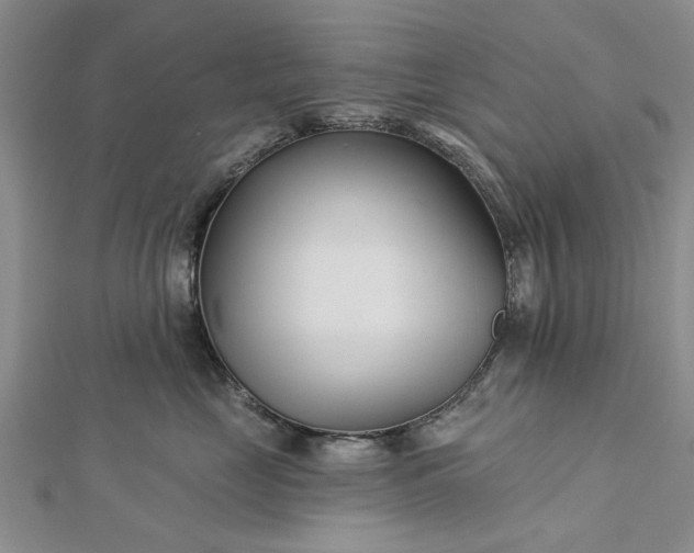 X0000112460669200908311330