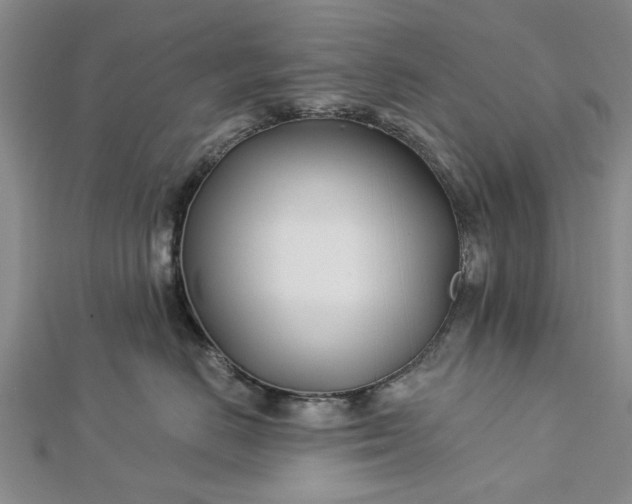 X0000112460670200908311330