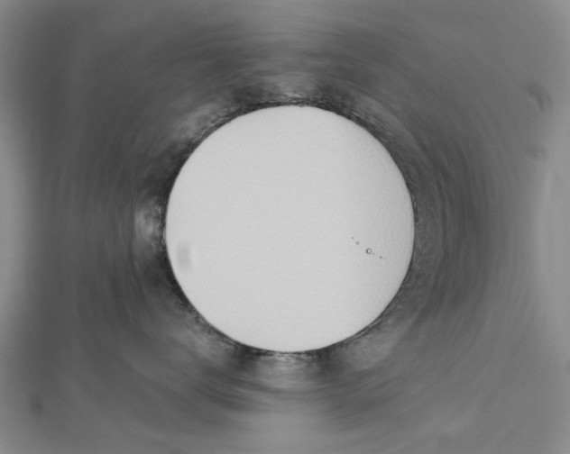 X0000112460672200908311330